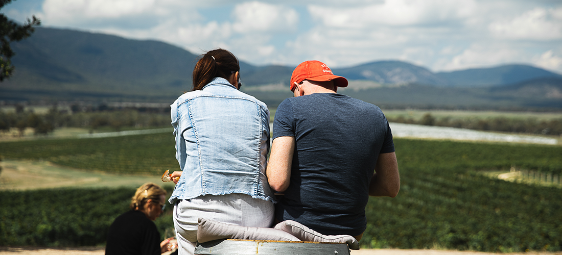 Two people overlooking the vines